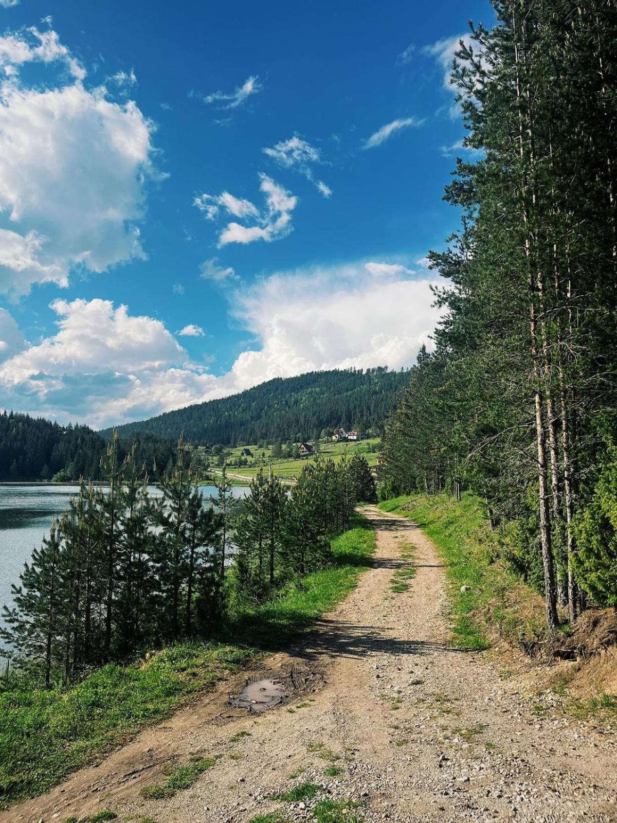 Zminica Lake House Zabljak  Exterior photo
